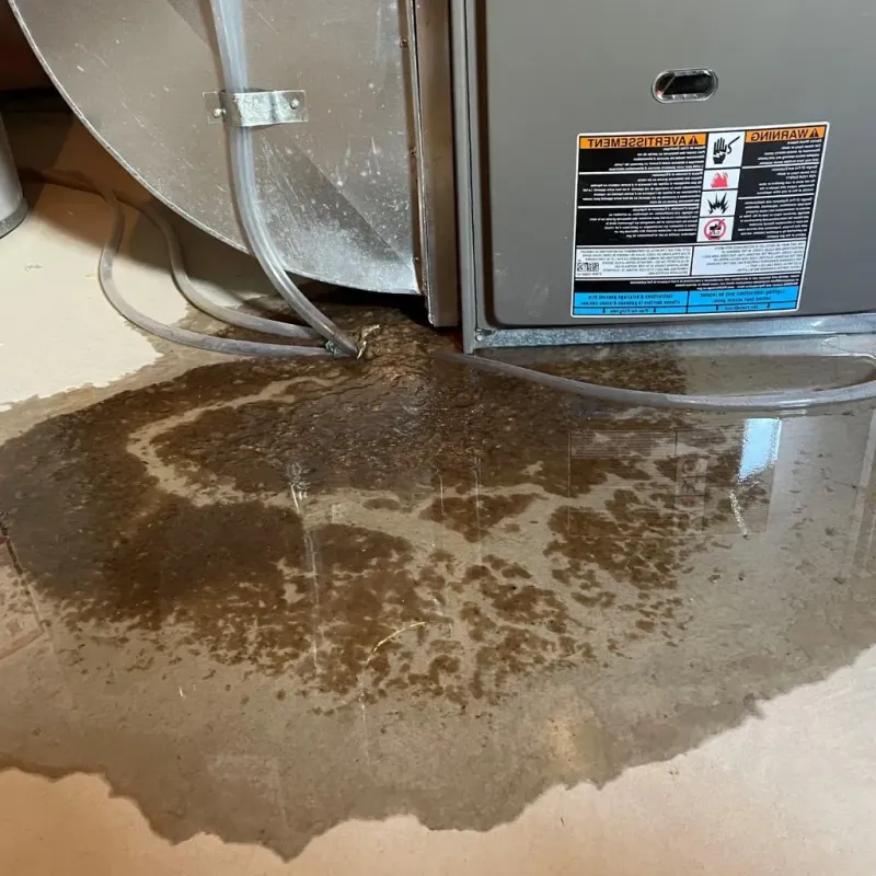 Pipe Burst and Leak Restoration in Goodhue, MN
